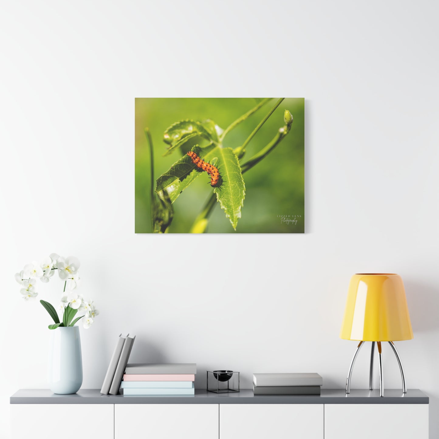 Gulf Fritillary Caterpillar Photography Canvas Print - Lizzed Lens Photography