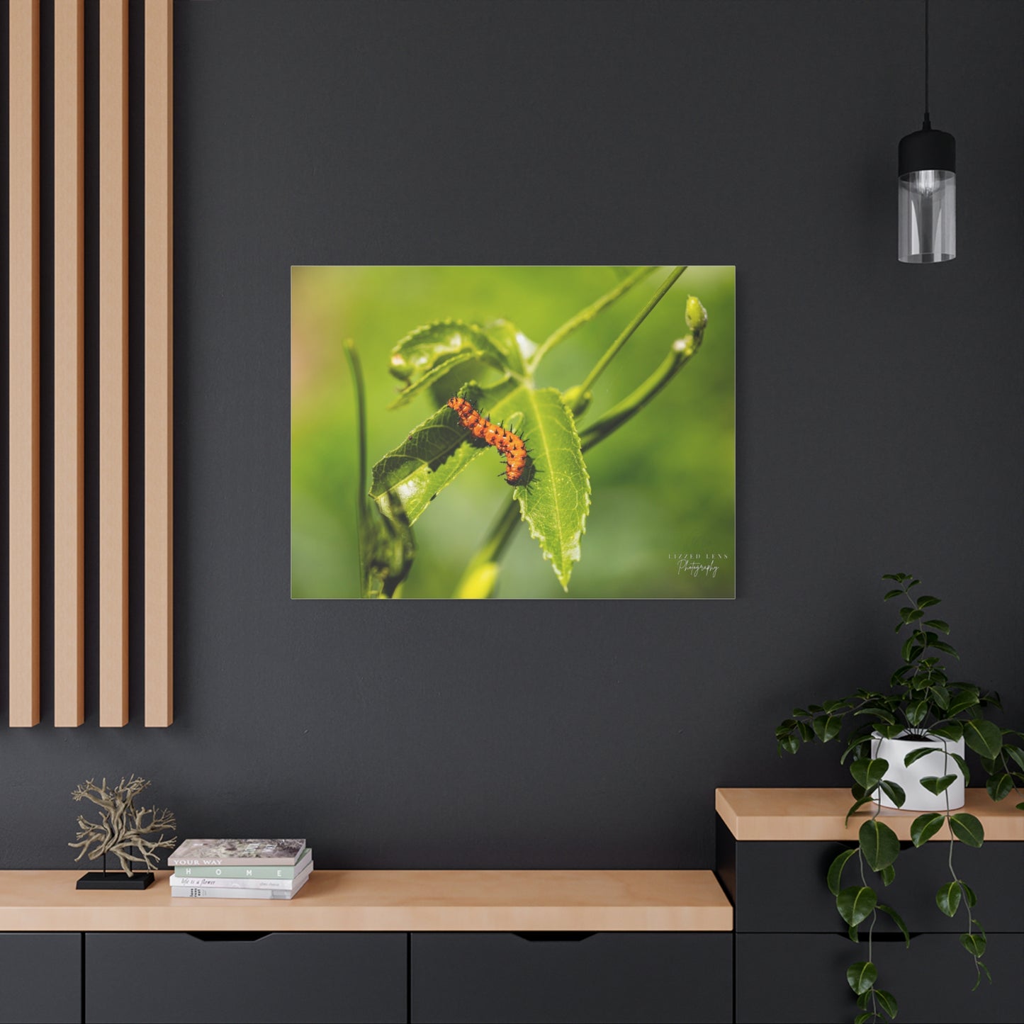 Gulf Fritillary Caterpillar Photography Canvas Print - Lizzed Lens Photography