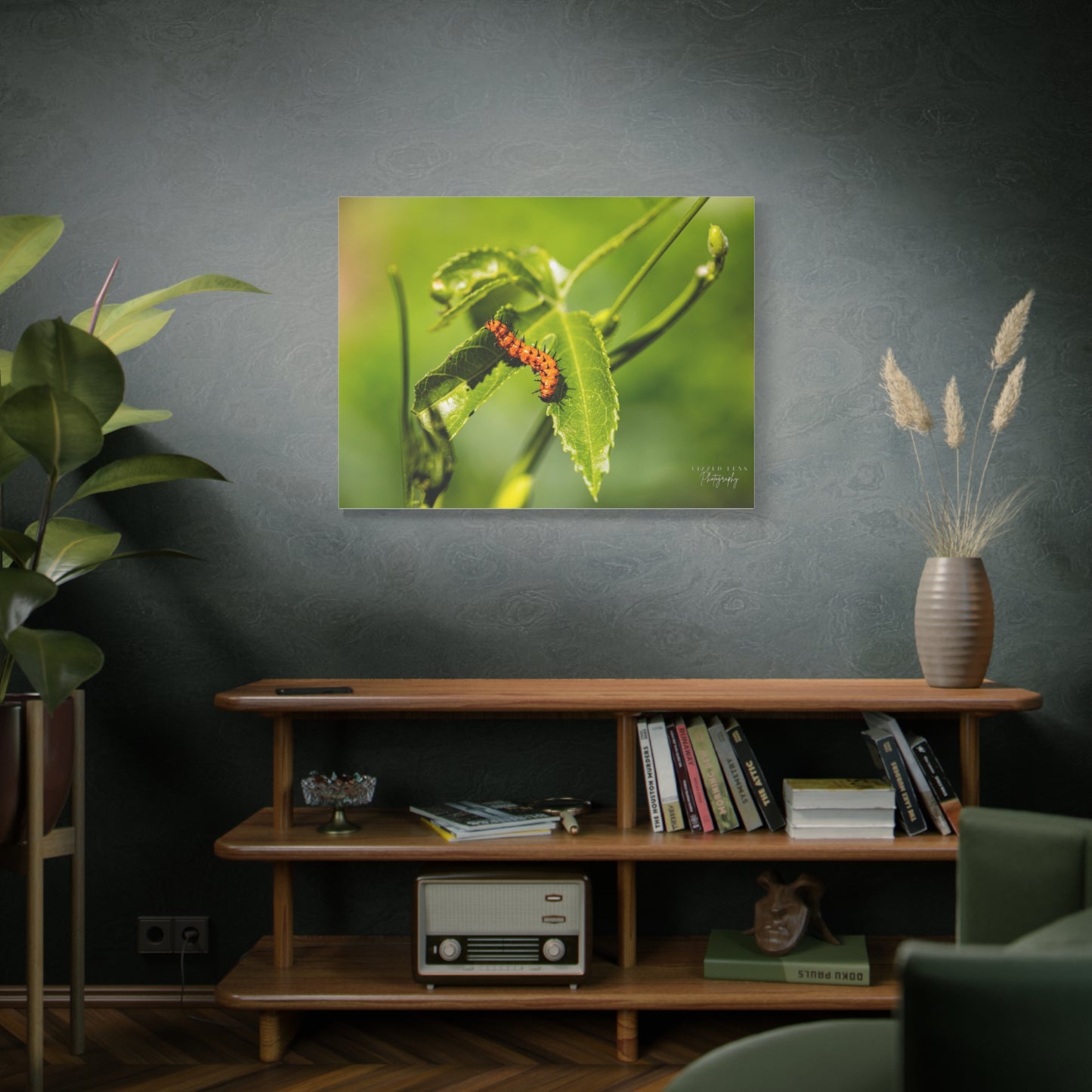 Gulf Fritillary Caterpillar Photography Canvas Print - Lizzed Lens Photography