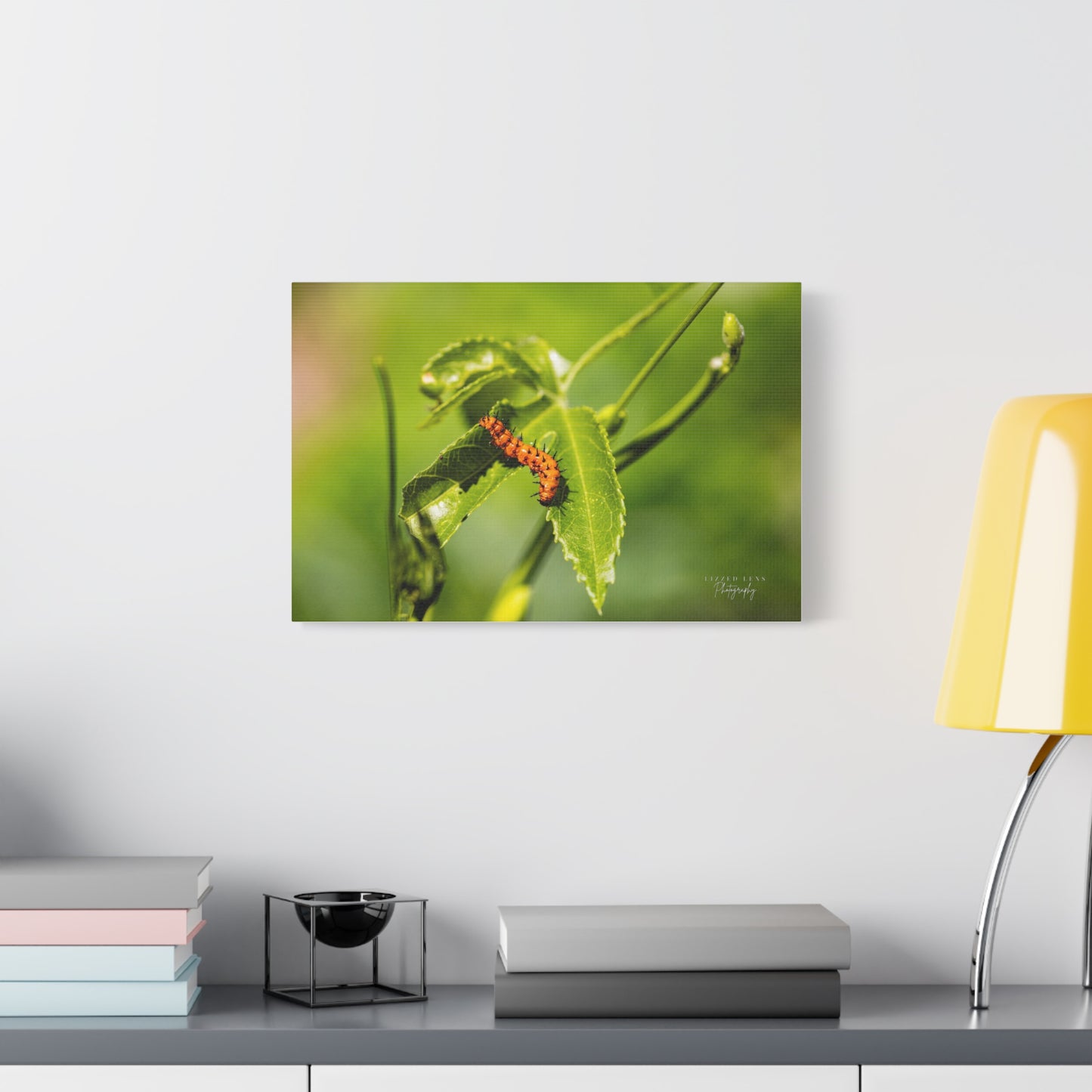 Gulf Fritillary Caterpillar Photography Canvas Print - Lizzed Lens Photography