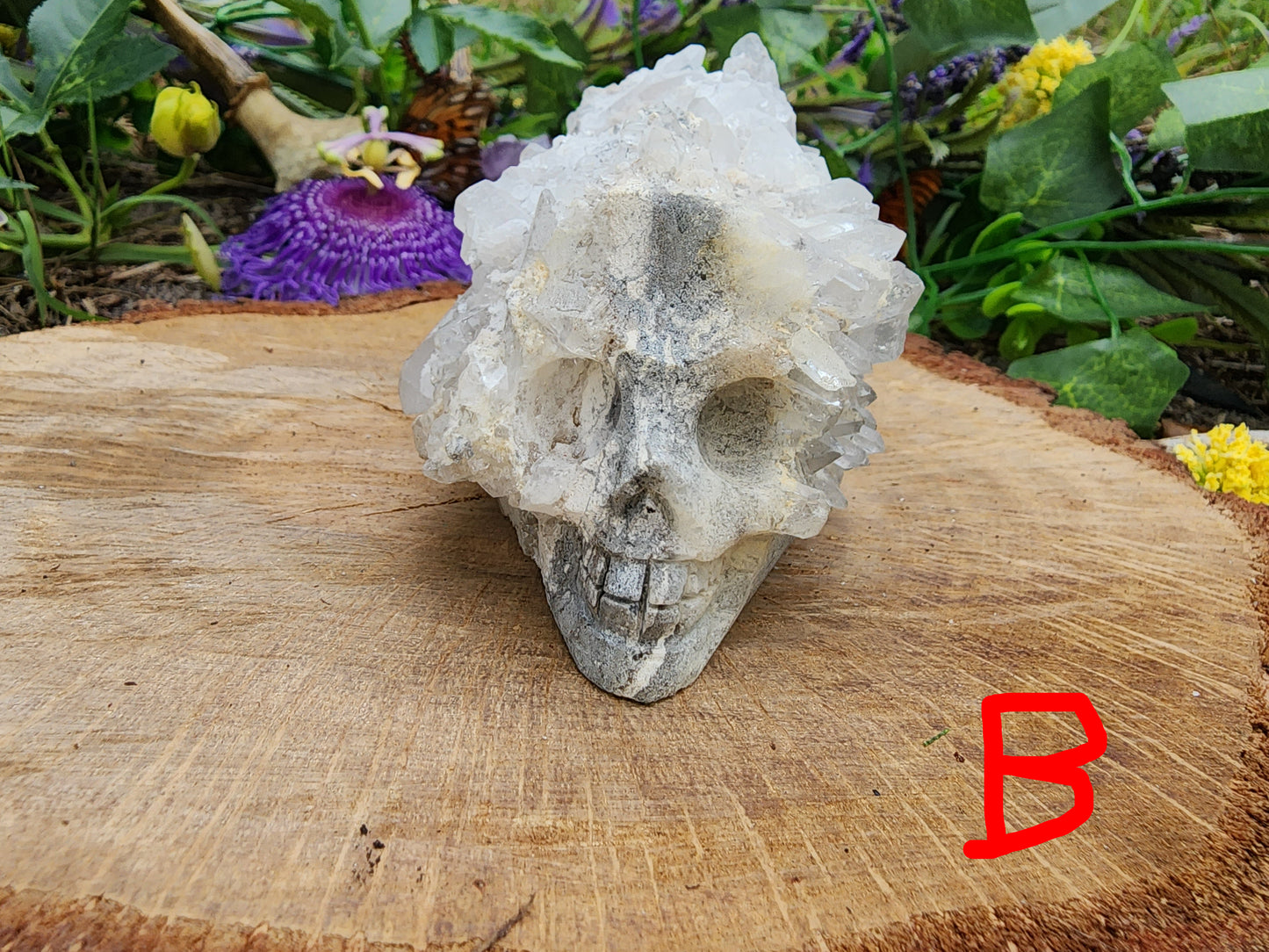 Clear Quartz Cluster Skull Carvings