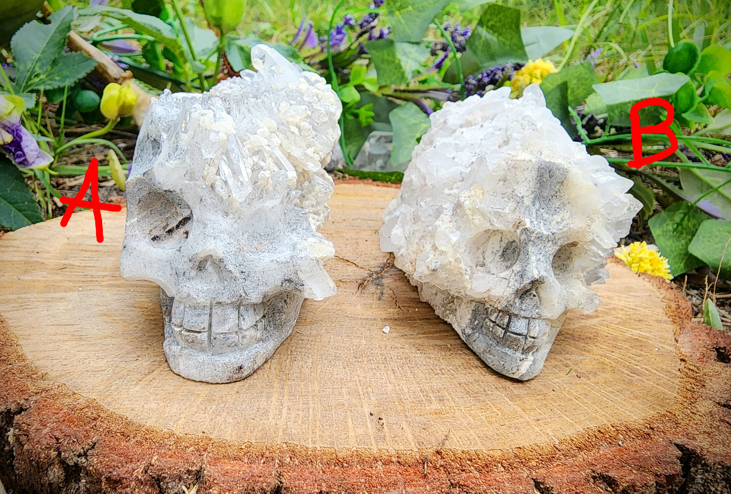 Clear Quartz Cluster Skull Carvings